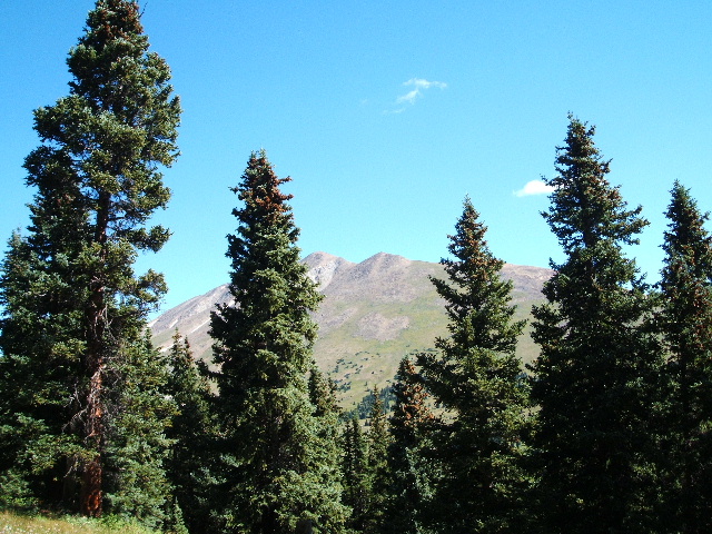 d0107660_10112451.jpg
