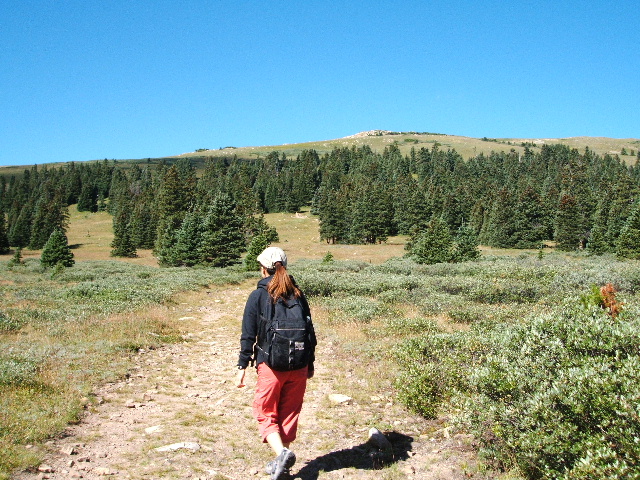 d0107660_9564577.jpg