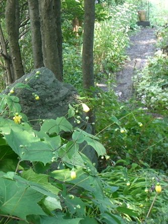 e0017562_1381491.jpg