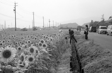 c0083364_238563.jpg