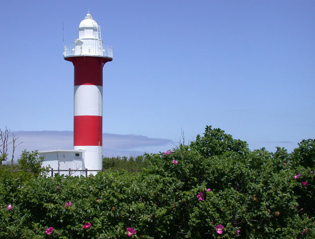 e0100772_22312486.jpg