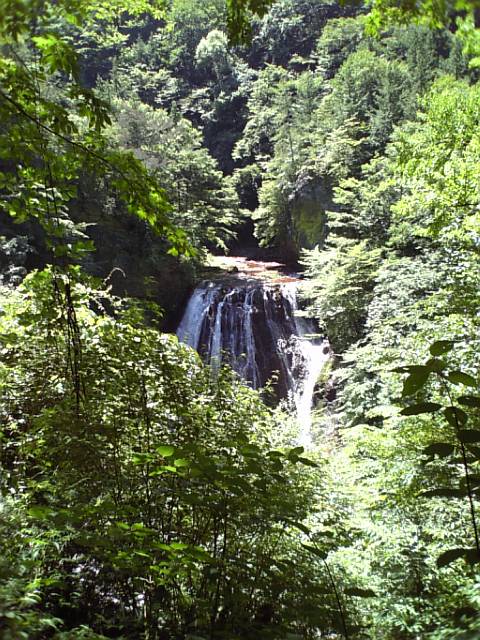 c0124776_11222557.jpg