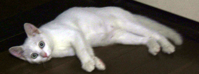 e0066379_103059100.jpg