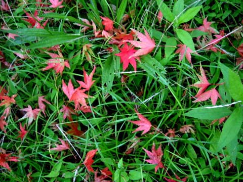 a0079880_19554967.jpg