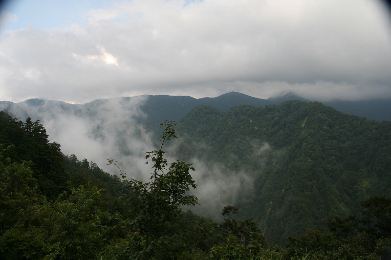 e0024081_1132122.jpg
