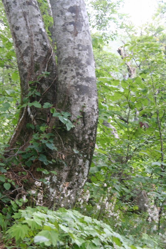 e0024081_11591863.jpg