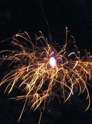 a0062983_12382952.gif