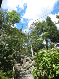 a0062983_12532533.gif