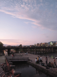 a0062983_1312559.gif