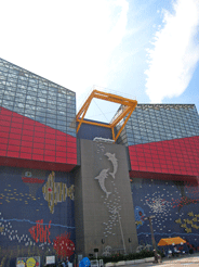 a0062983_1334993.gif