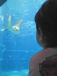 a0062983_1353926.gif