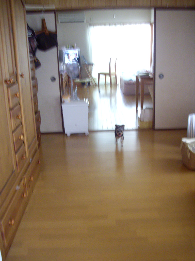 f0143386_2135129.jpg