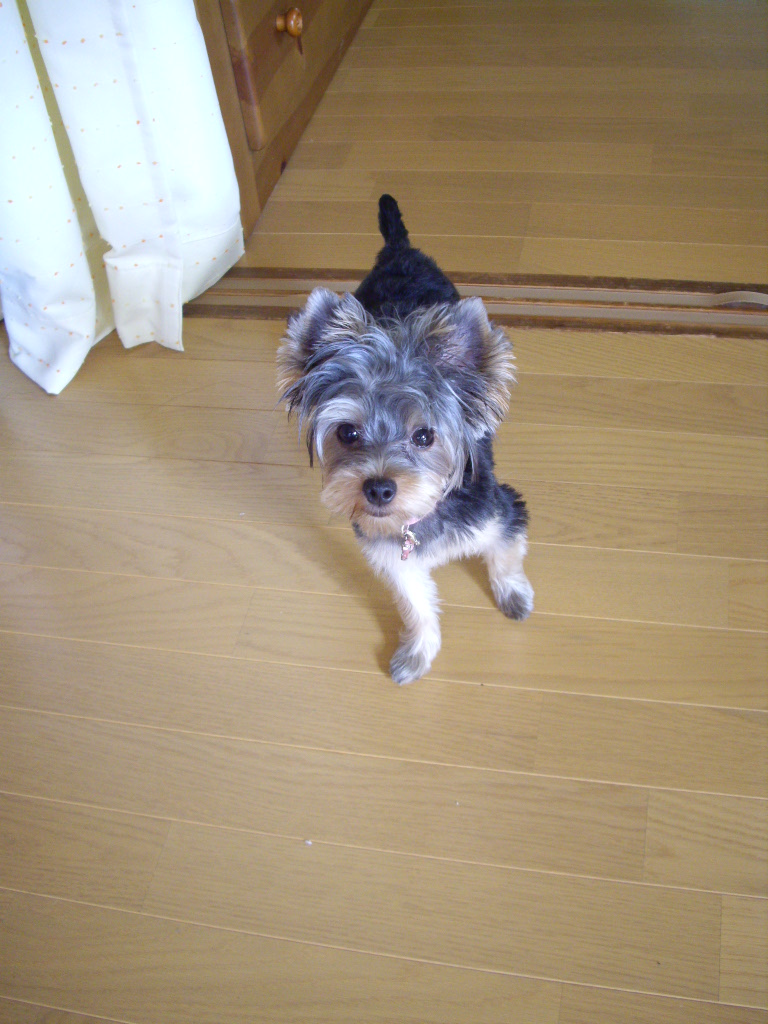 f0143386_217681.jpg