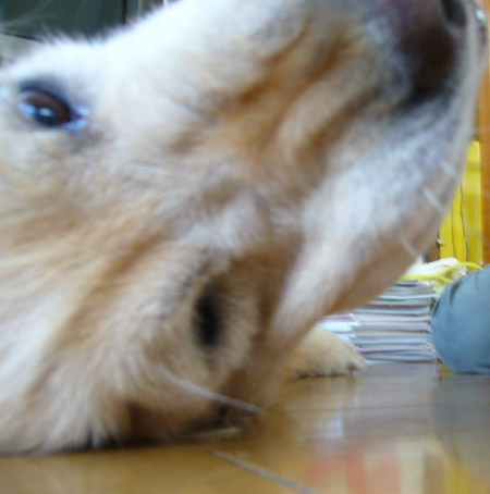 c0085188_2364783.jpg