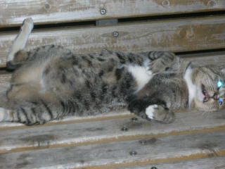 c0123890_20461813.jpg