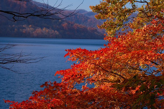 c0134295_002719.jpg