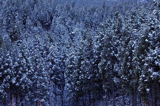 c0134295_0193289.jpg