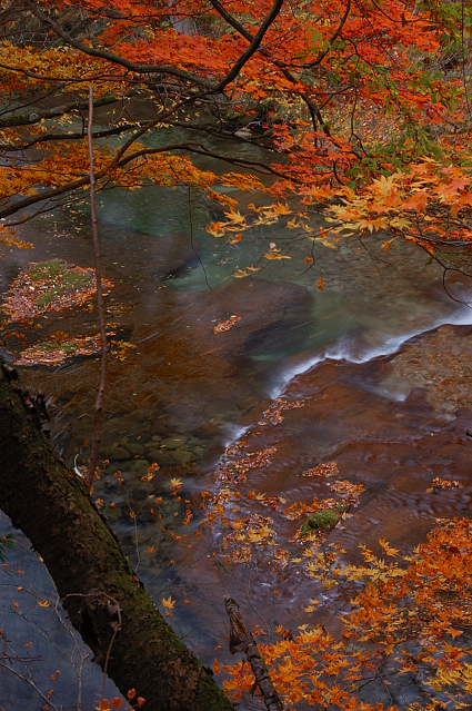 c0134295_03929.jpg