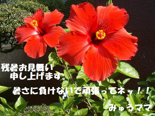a0037298_2340682.jpg