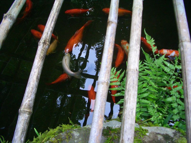 d0069498_1755592.jpg