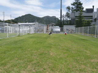 e0080117_2513217.gif