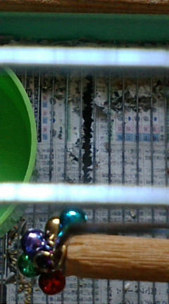 f0126418_13331490.jpg