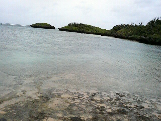 b0019820_19354820.jpg