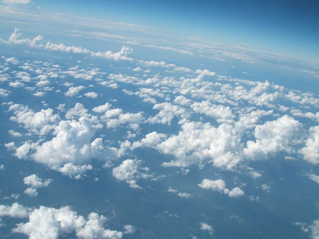 b0052523_762268.jpg