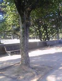 f0022024_23251911.jpg