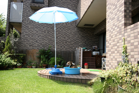 e0071225_9183033.jpg