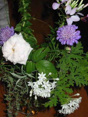 f0105732_16191539.jpg