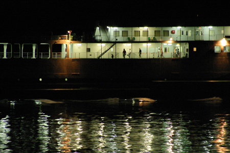 a0097735_1114416.jpg