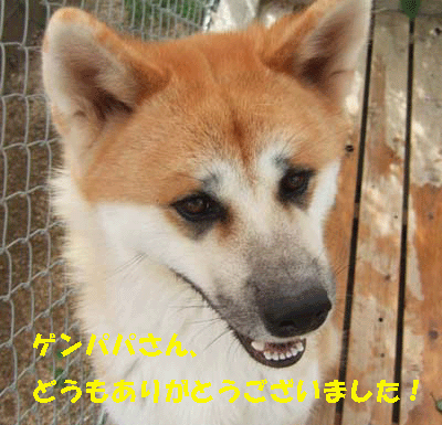 f0008935_1342019.gif