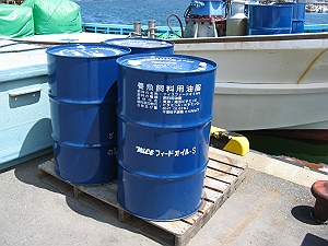 c0041039_8561854.jpg