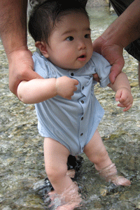 f0047439_23131927.gif