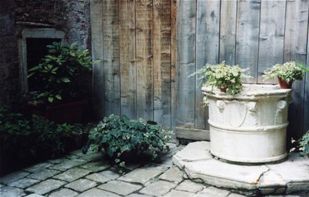 e0086642_2245590.jpg