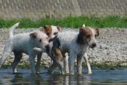 c0116848_15575357.jpg