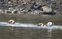 c0116848_15584948.jpg