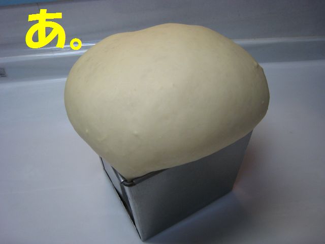 a0090451_10563026.jpg