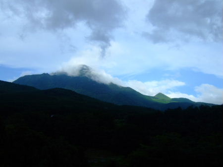 e0088654_122852.jpg