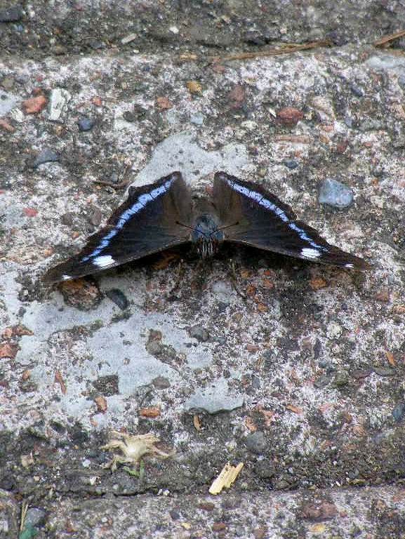e0064158_1434565.jpg