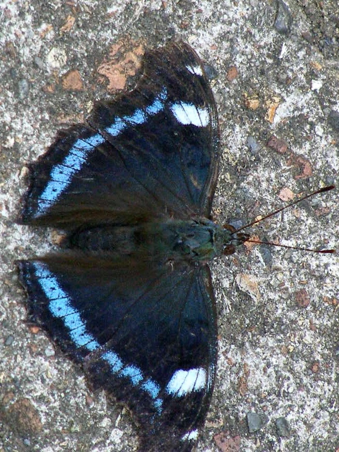 e0064158_146331.jpg
