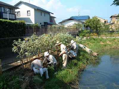 f0062462_11193495.jpg
