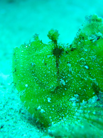 b0062363_2246846.jpg