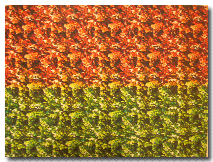 f0090964_2229180.gif