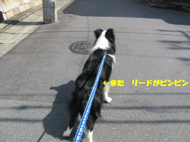 e0117976_1550121.jpg