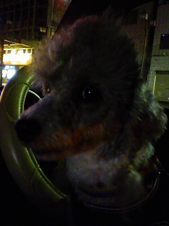 c0020681_0164351.jpg