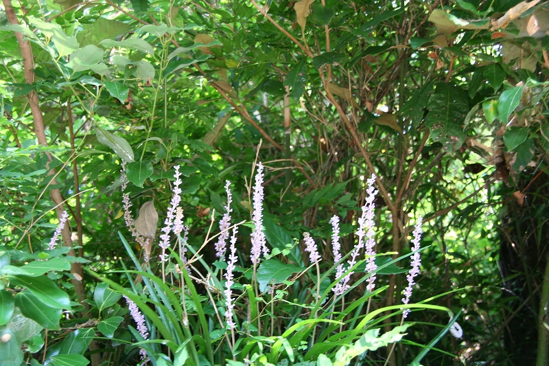e0024081_18551246.jpg