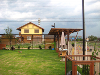 c0130389_1532131.jpg