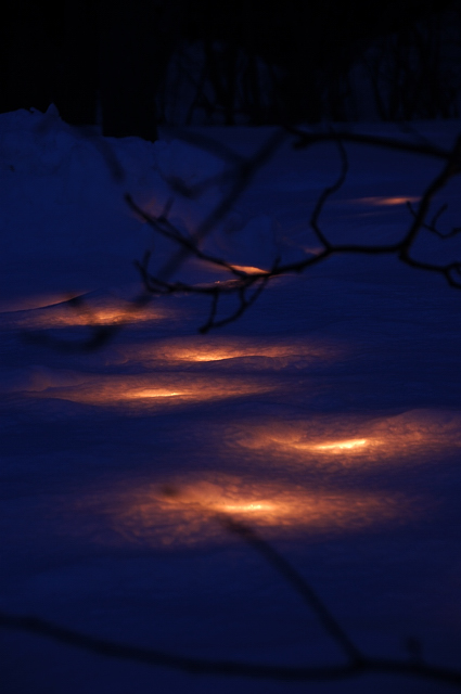 c0134295_0171775.jpg
